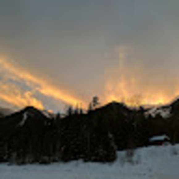 Meet your Posher, Katia - Picture 1 of 1